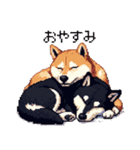 ドット絵 なかよし 柴犬 黒柴 40種（個別スタンプ：2）