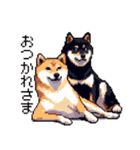 ドット絵 なかよし 柴犬 黒柴 40種（個別スタンプ：4）