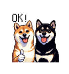 ドット絵 なかよし 柴犬 黒柴 40種（個別スタンプ：7）