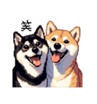 ドット絵 なかよし 柴犬 黒柴 40種（個別スタンプ：8）