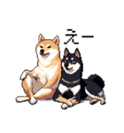 ドット絵 なかよし 柴犬 黒柴 40種（個別スタンプ：19）