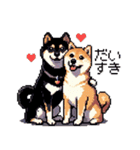 ドット絵 なかよし 柴犬 黒柴 40種（個別スタンプ：22）