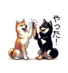 ドット絵 なかよし 柴犬 黒柴 40種（個別スタンプ：23）