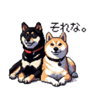 ドット絵 なかよし 柴犬 黒柴 40種（個別スタンプ：24）