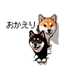 ドット絵 なかよし 柴犬 黒柴 40種（個別スタンプ：26）