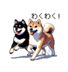 ドット絵 なかよし 柴犬 黒柴 40種（個別スタンプ：28）