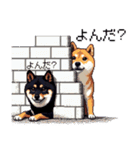 ドット絵 なかよし 柴犬 黒柴 40種（個別スタンプ：29）