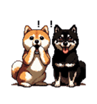 ドット絵 なかよし 柴犬 黒柴 40種（個別スタンプ：31）