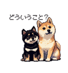 ドット絵 なかよし 柴犬 黒柴 40種（個別スタンプ：32）