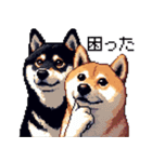 ドット絵 なかよし 柴犬 黒柴 40種（個別スタンプ：33）