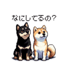 ドット絵 なかよし 柴犬 黒柴 40種（個別スタンプ：39）