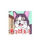 ねこウサギのキュートな仲間たち（個別スタンプ：22）