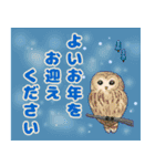 毎年使える年賀状と年末年始・冬のあいさつ（個別スタンプ：12）