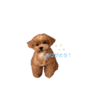 #あたちこはくっていうねん（個別スタンプ：1）