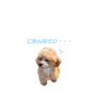#あたちこはくっていうねん（個別スタンプ：3）