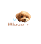 #あたちこはくっていうねん（個別スタンプ：5）
