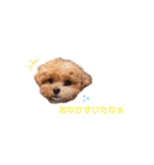 #あたちこはくっていうねん（個別スタンプ：10）