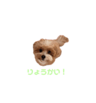 #あたちこはくっていうねん（個別スタンプ：12）