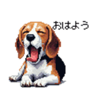 ドット絵 ビーグル 犬 40種（個別スタンプ：1）