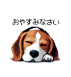 ドット絵 ビーグル 犬 40種（個別スタンプ：2）