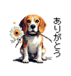 ドット絵 ビーグル 犬 40種（個別スタンプ：3）