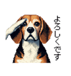 ドット絵 ビーグル 犬 40種（個別スタンプ：5）