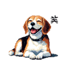 ドット絵 ビーグル 犬 40種（個別スタンプ：8）