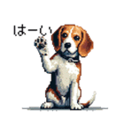 ドット絵 ビーグル 犬 40種（個別スタンプ：9）