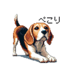 ドット絵 ビーグル 犬 40種（個別スタンプ：10）