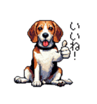 ドット絵 ビーグル 犬 40種（個別スタンプ：11）