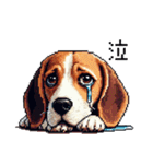 ドット絵 ビーグル 犬 40種（個別スタンプ：12）