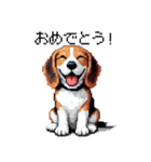 ドット絵 ビーグル 犬 40種（個別スタンプ：13）