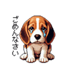 ドット絵 ビーグル 犬 40種（個別スタンプ：14）