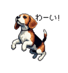 ドット絵 ビーグル 犬 40種（個別スタンプ：17）