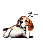 ドット絵 ビーグル 犬 40種（個別スタンプ：19）