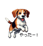 ドット絵 ビーグル 犬 40種（個別スタンプ：23）