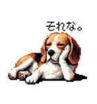 ドット絵 ビーグル 犬 40種（個別スタンプ：24）