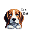 ドット絵 ビーグル 犬 40種（個別スタンプ：29）