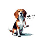 ドット絵 ビーグル 犬 40種（個別スタンプ：30）