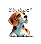 ドット絵 ビーグル 犬 40種（個別スタンプ：31）