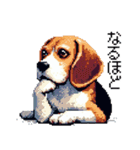 ドット絵 ビーグル 犬 40種（個別スタンプ：32）