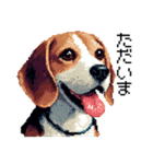 ドット絵 ビーグル 犬 40種（個別スタンプ：38）