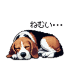 ドット絵 ビーグル 犬 40種（個別スタンプ：39）