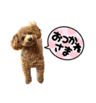 ふゆと＆モンチ＆プチきなこ（個別スタンプ：9）