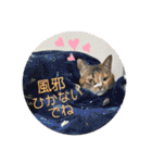 ふゆと＆モンチ＆プチきなこ（個別スタンプ：13）