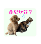 ふゆと＆モンチ＆プチきなこ（個別スタンプ：18）