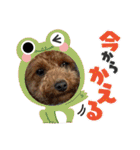 ふゆと＆モンチ＆プチきなこ（個別スタンプ：19）