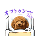 ふゆと＆モンチ＆プチきなこ（個別スタンプ：27）