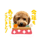 ふゆと＆モンチ＆プチきなこ（個別スタンプ：33）