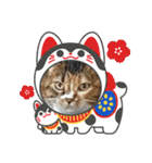 ふゆと＆モンチ＆プチきなこ（個別スタンプ：34）